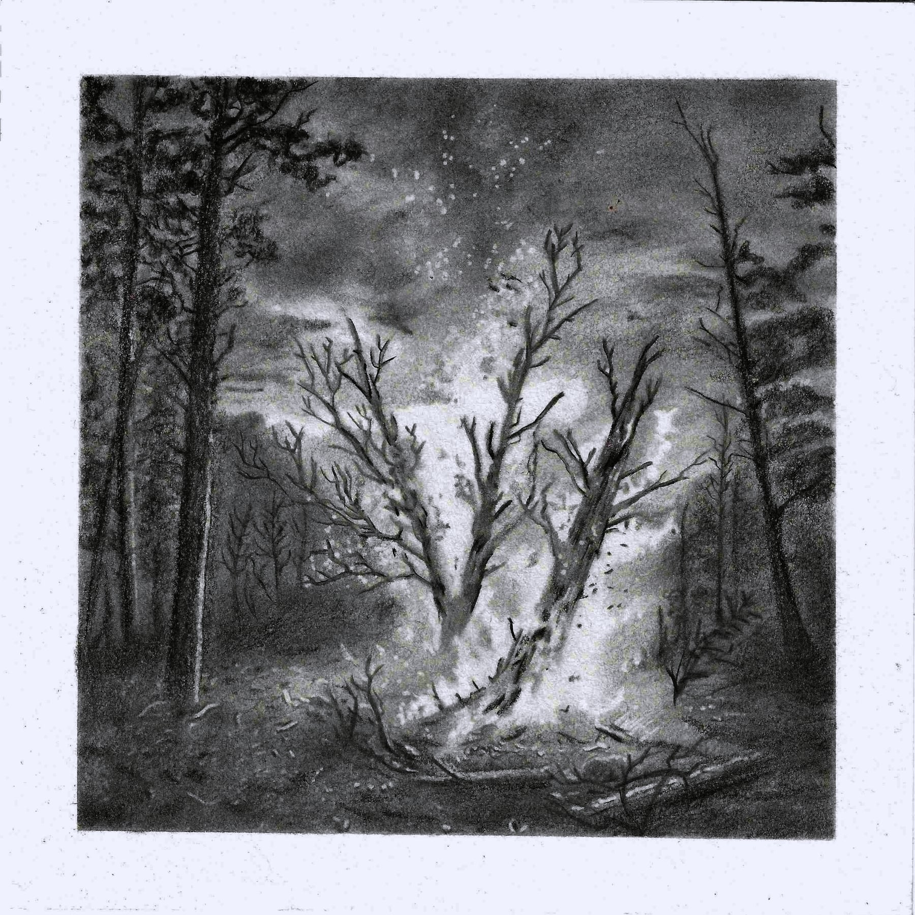VIII - Snag